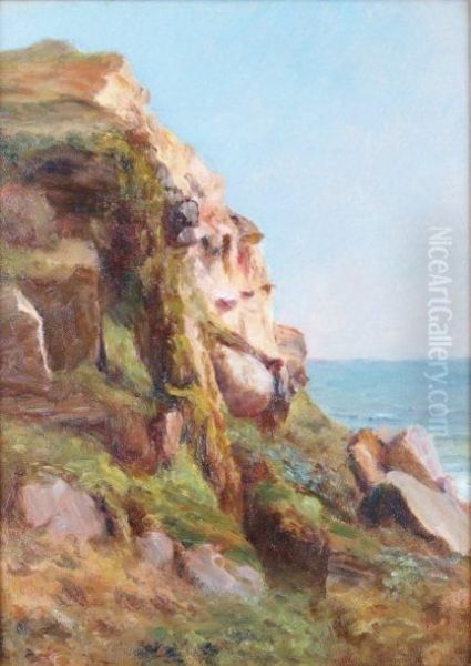 Falaise Pres D'audresselles Oil Painting by Francois Richard De Montholon