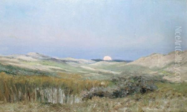 Coucher De Soleil Sur Les Dunes Deberck Oil Painting by Francois Richard De Montholon