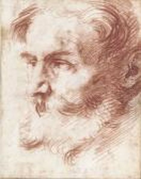 Head Of A Bearded Man, Looking To The Left Oil Painting by Jusepe de Ribera