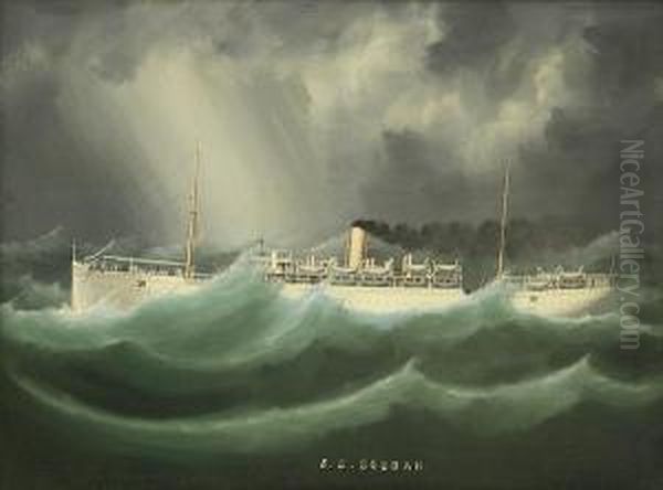 S.s. Soudan Oil Painting by Antonio de Simone