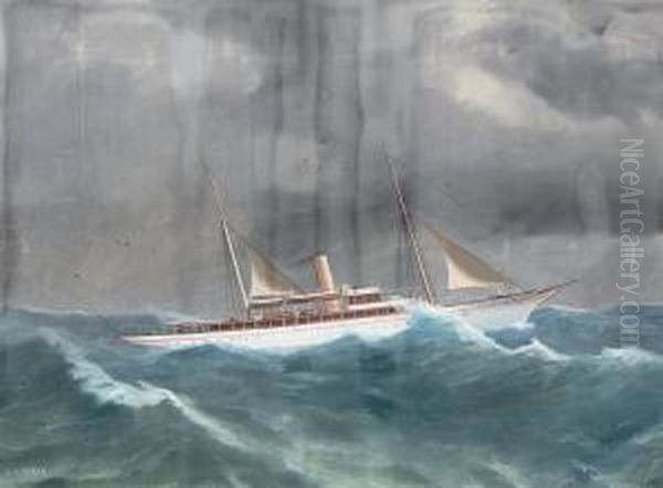 The Steam Yacht 
Beryl 
 Riding The Ocean Swell Oil Painting by Antonio de Simone