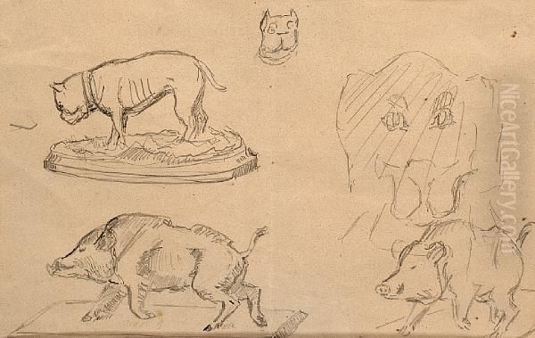 Bulldog And Boar Studies Oil Painting by Henri De Toulouse-Lautrec