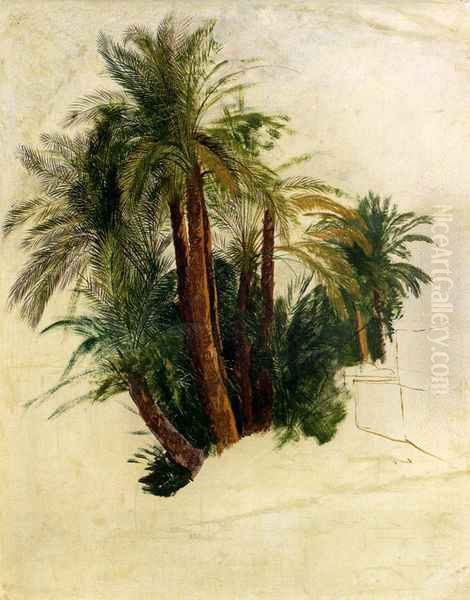 Study Of Palm Trees Oil Painting by Edward Lear