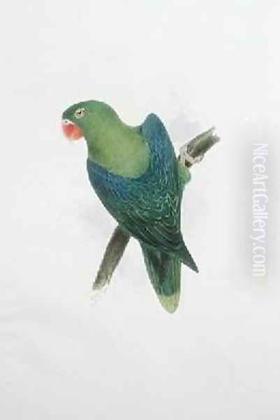 Green Parrot Oil Painting by Edward Lear