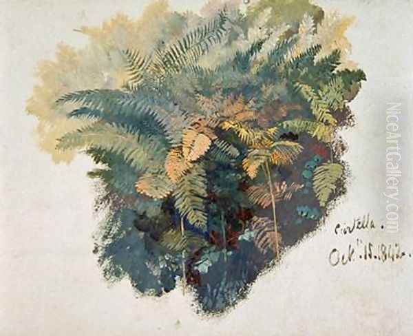 A Study of Ferns Citivella Oil Painting by Edward Lear