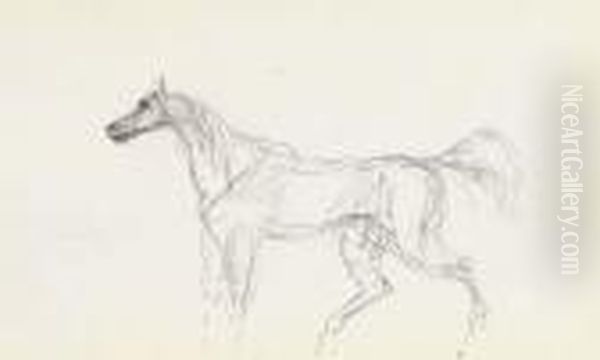 Cheval Oil Painting by Henri De Toulouse-Lautrec