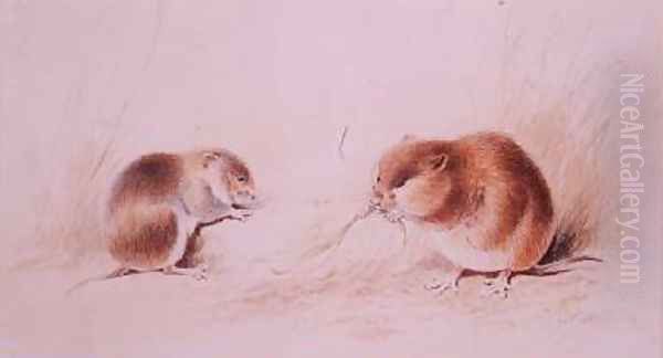 Dormice Oil Painting by Edward Lear