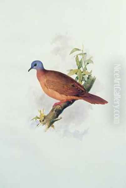 Pigeon-type Oil Painting by Edward Lear