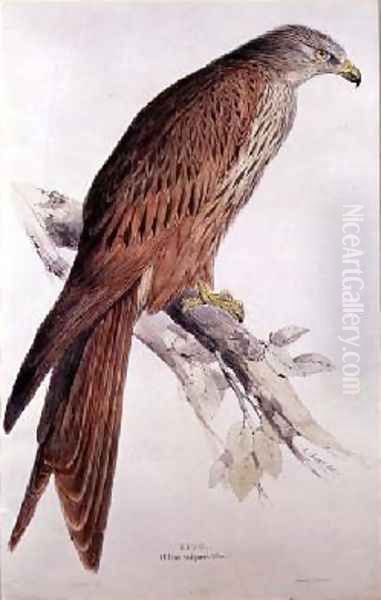 Kite Oil Painting by Edward Lear