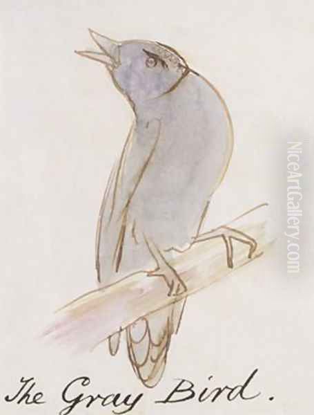 The Gray Bird Oil Painting by Edward Lear