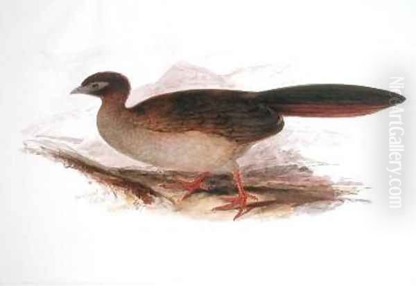 Parragua Oil Painting by Edward Lear