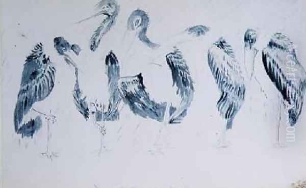 Studies of Storks Oil Painting by Edward Lear