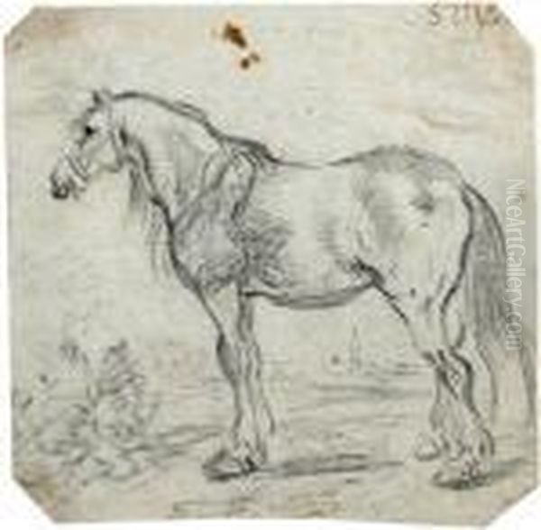 Study Of A Horse Oil Painting by Simon De Vlieger