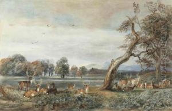 A Herd Of Deer Resting In Lowther Castle Park, Cumbria Oil Painting by Peter de Wint