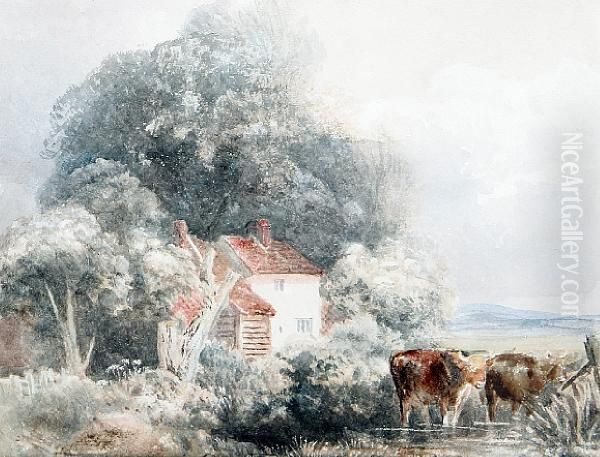 Cattle Watering Before A Cottage Oil Painting by Peter de Wint