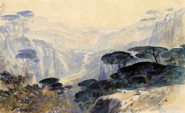 Cedars overlooking the valley, Galilea Oil Painting by Edward Lear