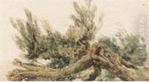 A Fallen Tree Oil Painting by Peter de Wint