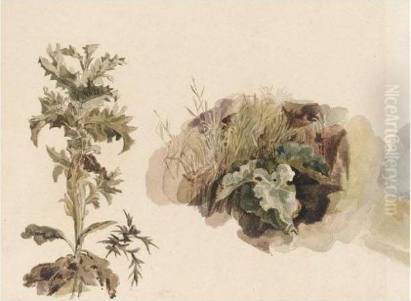 A Thistle, Burdock And Grass Oil Painting by Peter de Wint