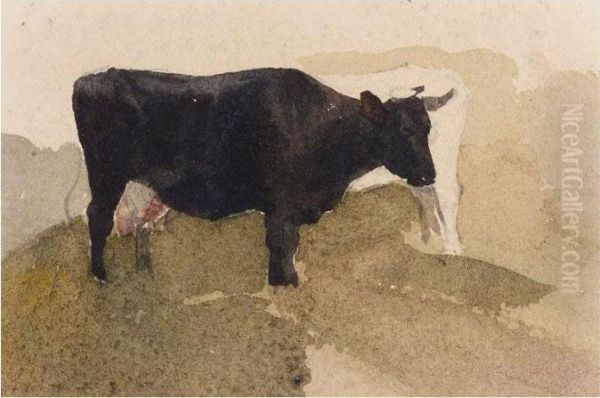 Study Of Cows Oil Painting by Peter de Wint