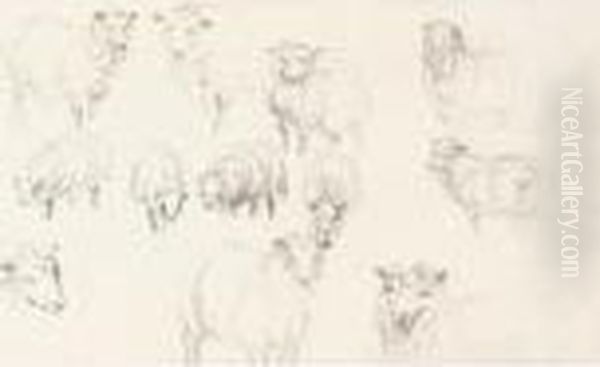 Studies Of Animals Oil Painting by Peter de Wint