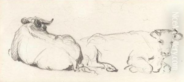 Study Of Cows Resting Oil Painting by Peter de Wint