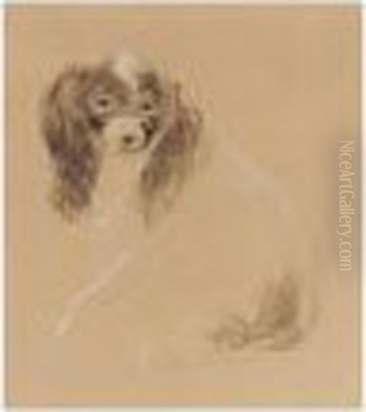 A King Charles Spaniel Oil Painting by Peter de Wint