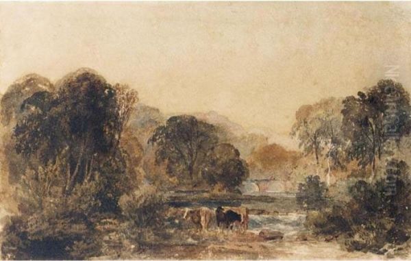 Cattle By A Stream In A Wooded Landscape Oil Painting by Peter de Wint