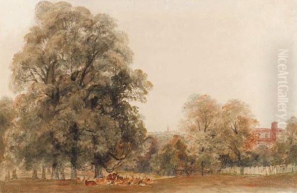 A Herd Of Deer Resting Beneath A Tree, Greenwich Park Oil Painting by Peter de Wint