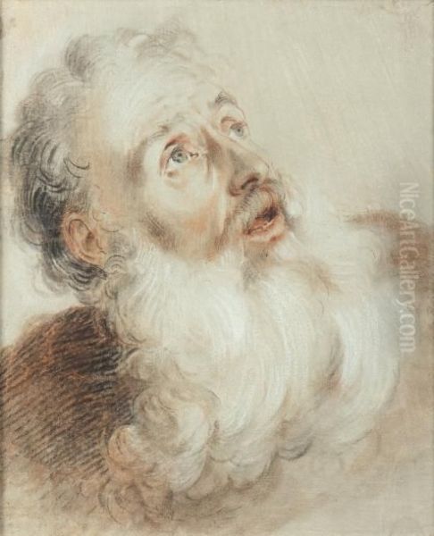 Etude De Tete D'homme Barbu Regardant Le Ciel Oil Painting by Jacob de Wit