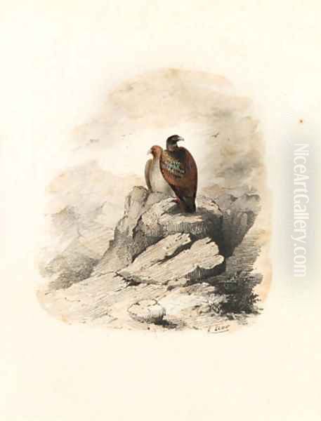 A pair of birds of prey on a rocky outcrop Oil Painting by Edward Lear