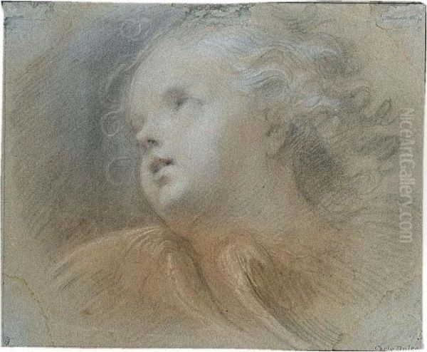 Head Of A Putto Oil Painting by Jacob de Wit