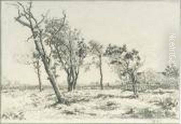 Trees In A Landscape Oil Painting by Willem de Zwart