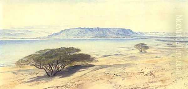 The southern end of the Dead Sea Oil Painting by Edward Lear