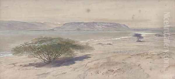 On the shores of the Mediterranean Oil Painting by Edward Lear