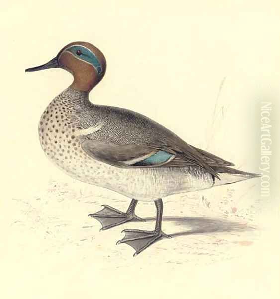 Study of a teal Oil Painting by Edward Lear