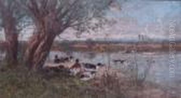 Canards Sur Le Rivage Oil Painting by Alexandre Defaux