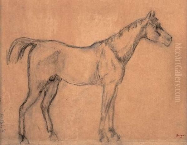 Etude De Cheval Oil Painting by Edgar Degas