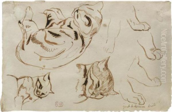 Sheet Of Studies Of A Sleeping Cat Oil Painting by Eugene Delacroix