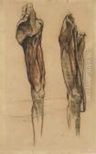 Study Of Two Echorche Legs Oil Painting by Eugene Delacroix