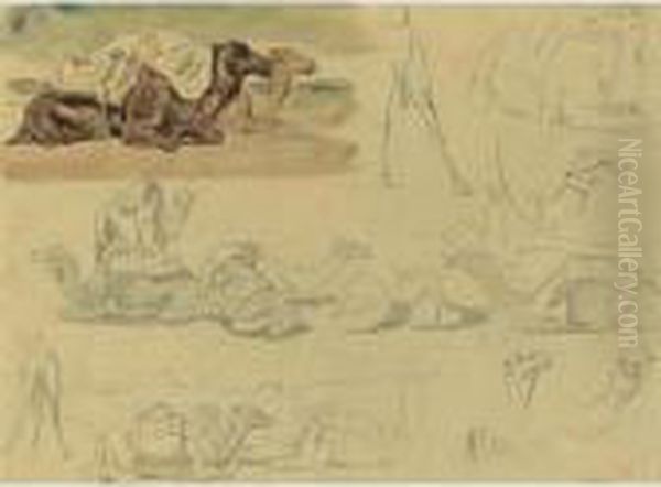 Studies Of Camels Oil Painting by Eugene Delacroix