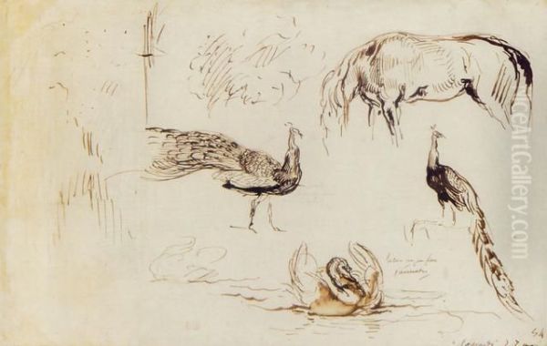 A Sheet Of Studies Of Peacocks, A Swan And A Horse Oil Painting by Eugene Delacroix