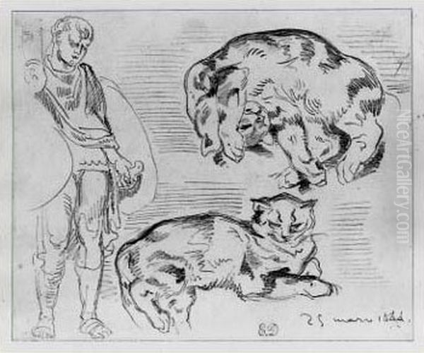 Etude De Chats Et De Jeune Romain Oil Painting by Eugene Delacroix