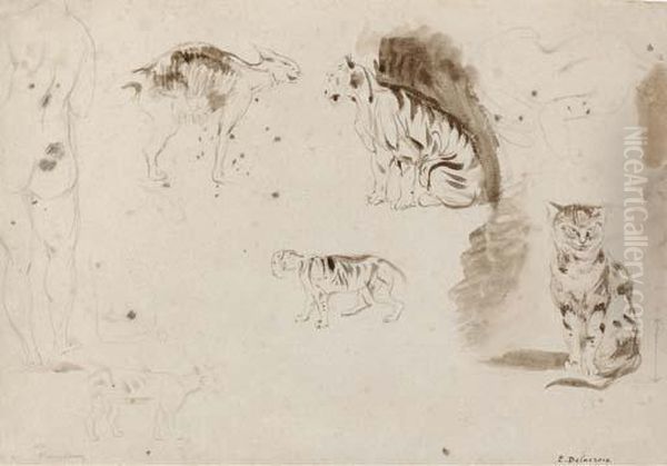 Studies Of Cats, Other Felines And Two Female Nudes Seen From Behind Oil Painting by Eugene Delacroix