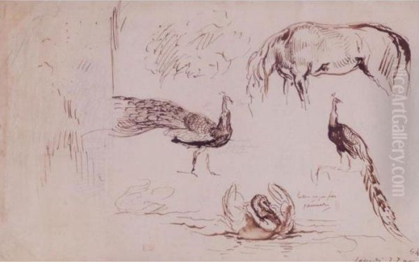 Study Of A Horse, Two Peacocks And Two Swans Oil Painting by Eugene Delacroix