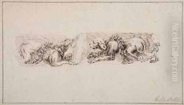 Study Of Two Dogs And A Boar's Head by Stefano della Bella