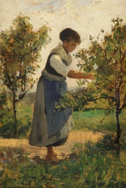 Fanciulla Che Raccoglie La Frutta Nel Giardino Oil Painting by Lorenzo Delleani