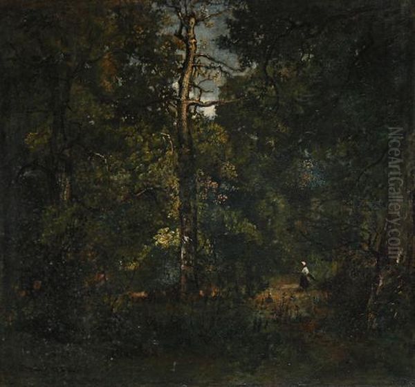 Bucheronne, Chemin Du Dormoir, Sous-bois Oil Painting by Narcisse-Virgile D Az De La Pena