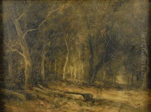 Sunlit Forest Oil Painting by Narcisse-Virgile D Az De La Pena