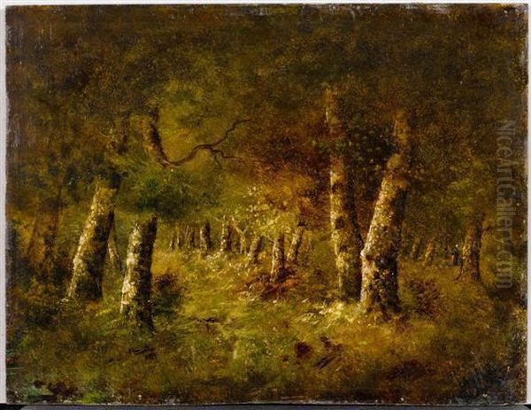 Study Of A Forest Oil Painting by Narcisse-Virgile D Az De La Pena