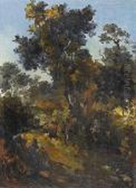 A Wooded Landscape Oil Painting by Narcisse-Virgile D Az De La Pena